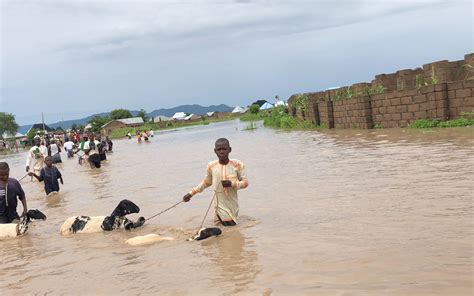 effects of flooding in nigeria
